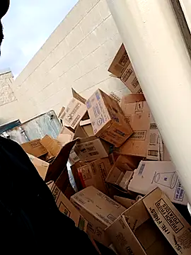 Dropdingo online show from November 2025 02:49:01 PM