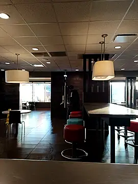 Dropdingo online show from November 2025 01:15:02 PM