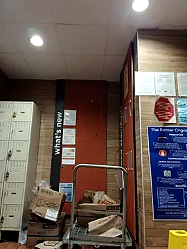 Dropdingo online show from October 2025 04:03:01 PM