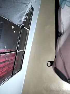 MAFE  29 online show from February 2026 01:51:02 AM