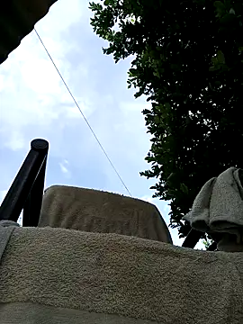 AlphaAlterX online show from March 2026 08:12:02 PM