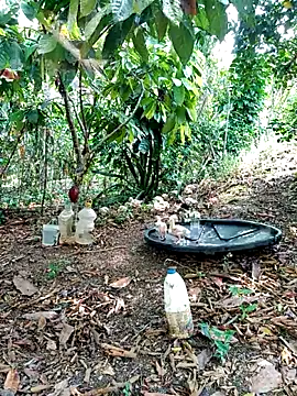 Snapshot of AlphaAlterX chatting on March 2026 03:52:01 PM AlphaAlterX online show from March 2026 03:52:01 PM