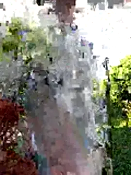 AlphaAlterX online show from December 2025 12:30:03 PM