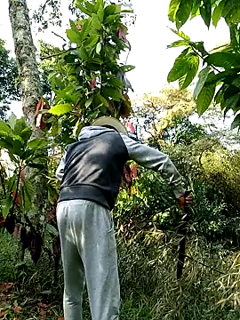 Snapshot of AlphaAlterX chatting on February 2026 01:22:01 PM AlphaAlterX online show from February 2026 01:22:01 PM