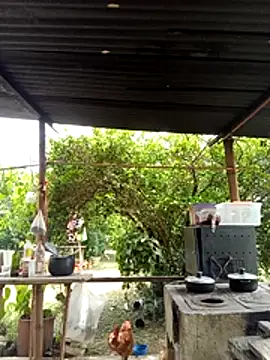 AlphaAlterX online show from March 2026 06:13:02 PM