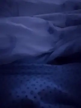 Novin23cms online show from September 2025 06:09:01 AM