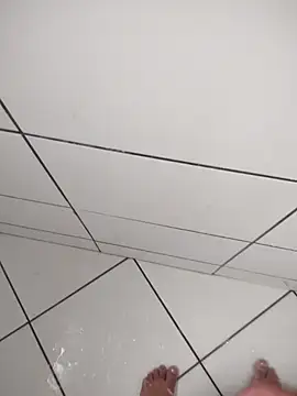 Novin23cms online show from December 2025 02:08:02 PM