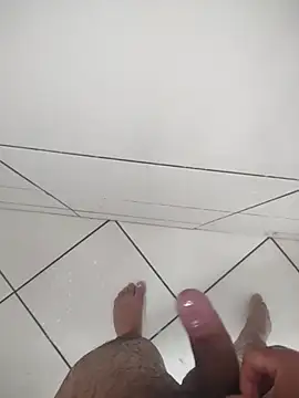 Novin23cms online show from December 2025 02:27:02 PM