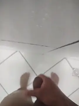 Novin23cms online show from September 2025 11:44:01 PM