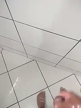 Novin23cms online show from November 2025 07:28:01 PM