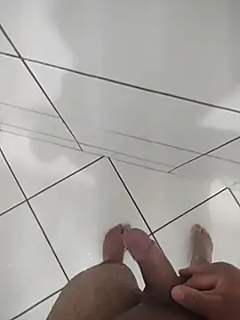 Novin23cms online show from November 2025 11:30:02 PM