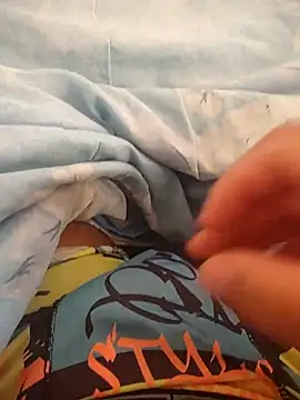 Novin23cms online show from September 2025 05:51:02 PM