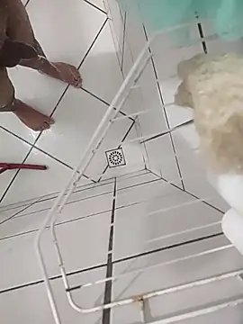 Novin23cms online show from November 2025 11:30:01 PM