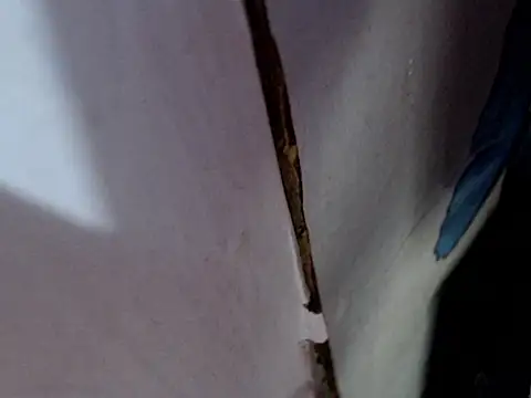 MissfrancesXxx online show from March 2026 11:38:01 AM