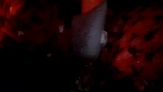 Snapshot of prettymaa chatting on October 2025 03:11:02 AM prettymaa online show from October 2025 03:11:02 AM