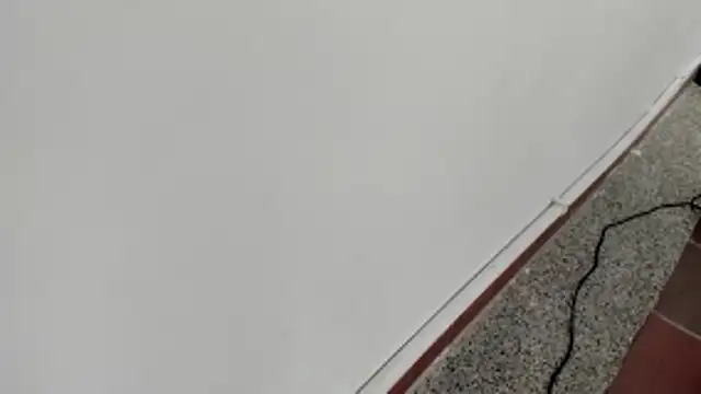 michelle perla online show from January 2026 07:06:02 PM