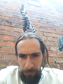 hairy mannn online show from February 2026 03:56:02 PM