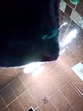 aispuro8505 online show from November 2025 07:08:01 AM