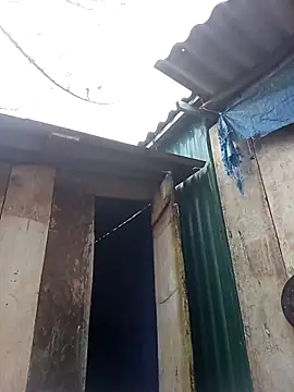 may-squirl online show from November 2025 11:42:01 PM