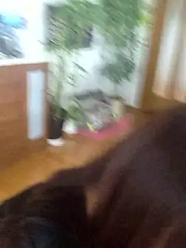 AYA dayo online show from March 2026 12:48:02 AM