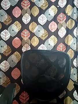 telugu pellam online show from February 2026 09:20:01 AM