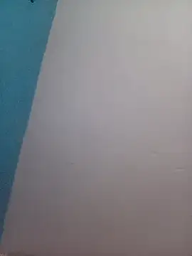 Snapshot of Alina-khan chatting on October 2025 04:40:02 PM Alina-khan online show from October 2025 04:40:02 PM