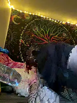 VickPicsVermillion online show from November 2025 11:37:01 PM