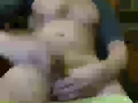 Snapshot of italian_max_sex chatting on November 2025 11:26:01 PM italian max sex online show from November 2025 11:26:01 PM