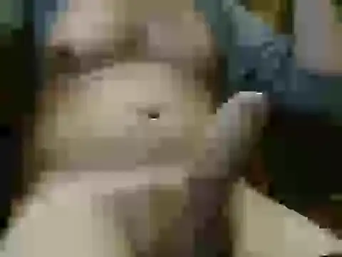 Snapshot of italian_max_sex chatting on November 2025 11:30:02 PM italian max sex online show from November 2025 11:30:02 PM