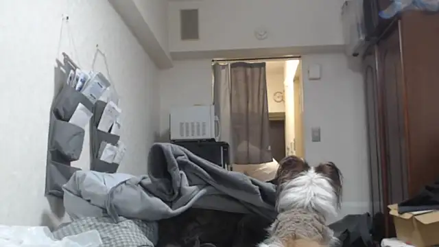 raterate555 online show from March 2026 01:19:02 PM