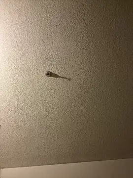 aurorasparkles online show from September 2025 02:45:02 PM