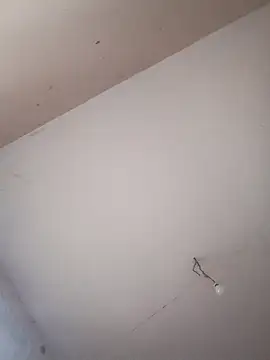 Snapshot of BeakedMezuza chatting on November 2025 12:27:01 PM BeakedMezuza online show from November 2025 12:27:01 PM