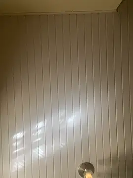 Viniciusbene online show from April 2026 01:41:02 PM