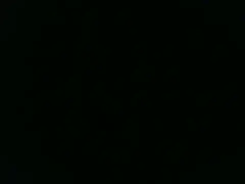 Snapshot of Sweety_Live chatting on October 2025 03:41:02 AM Sweety Live online show from October 2025 03:41:02 AM