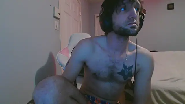 Ardokks online show from February 2026 12:38:02 PM