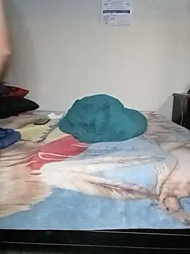 HomHot47 online show from November 2025 04:19:02 PM