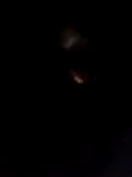 Rani sahiba online show from February 2026 08:17:02 PM