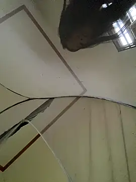 viluna online show from November 2025 05:12:02 AM