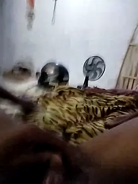 sertaonegro online show from March 2026 11:29:02 AM