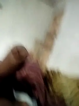 sertaonegro online show from February 2026 10:24:02 AM