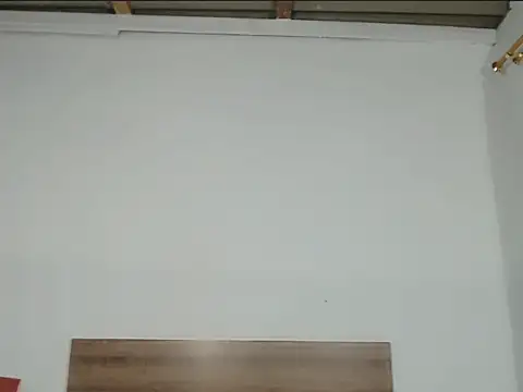 Pamelaebonyyyx online show from October 2025 07:38:01 AM