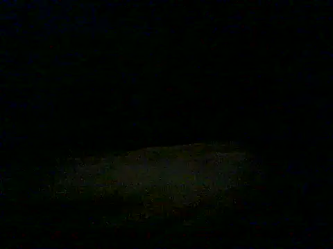 mannsex66 online show from June 2026 10:43:01 AM