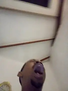 fitsexyman online show from January 2026 08:49:01 PM