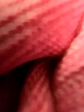 Snapshot of sisman31 chatting on October 2025 07:47:02 PM sisman31 online show from October 2025 07:47:02 PM