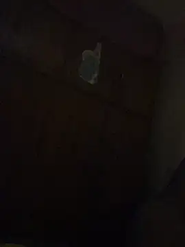 Kajal-Shemale69 online show from December 2025 01:09:01 AM