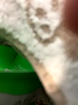 Snapshot of crashnasty chatting on November 2025 05:39:01 AM crashnasty online show from November 2025 05:39:01 AM