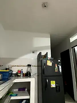 zaracollins01 online show from December 2025 02:34:02 AM