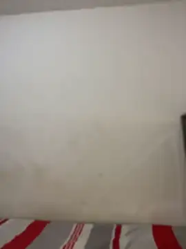zaracollins01 online show from August 2026 07:29:02 PM