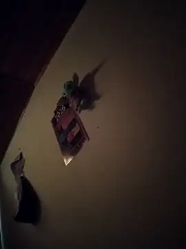 Alexis0922 online show from April 2026 02:19:01 PM