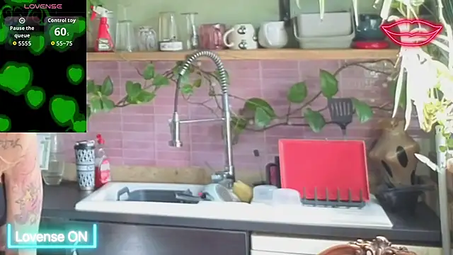 xl uk top trans online show from April 2026 12:00:01 PM